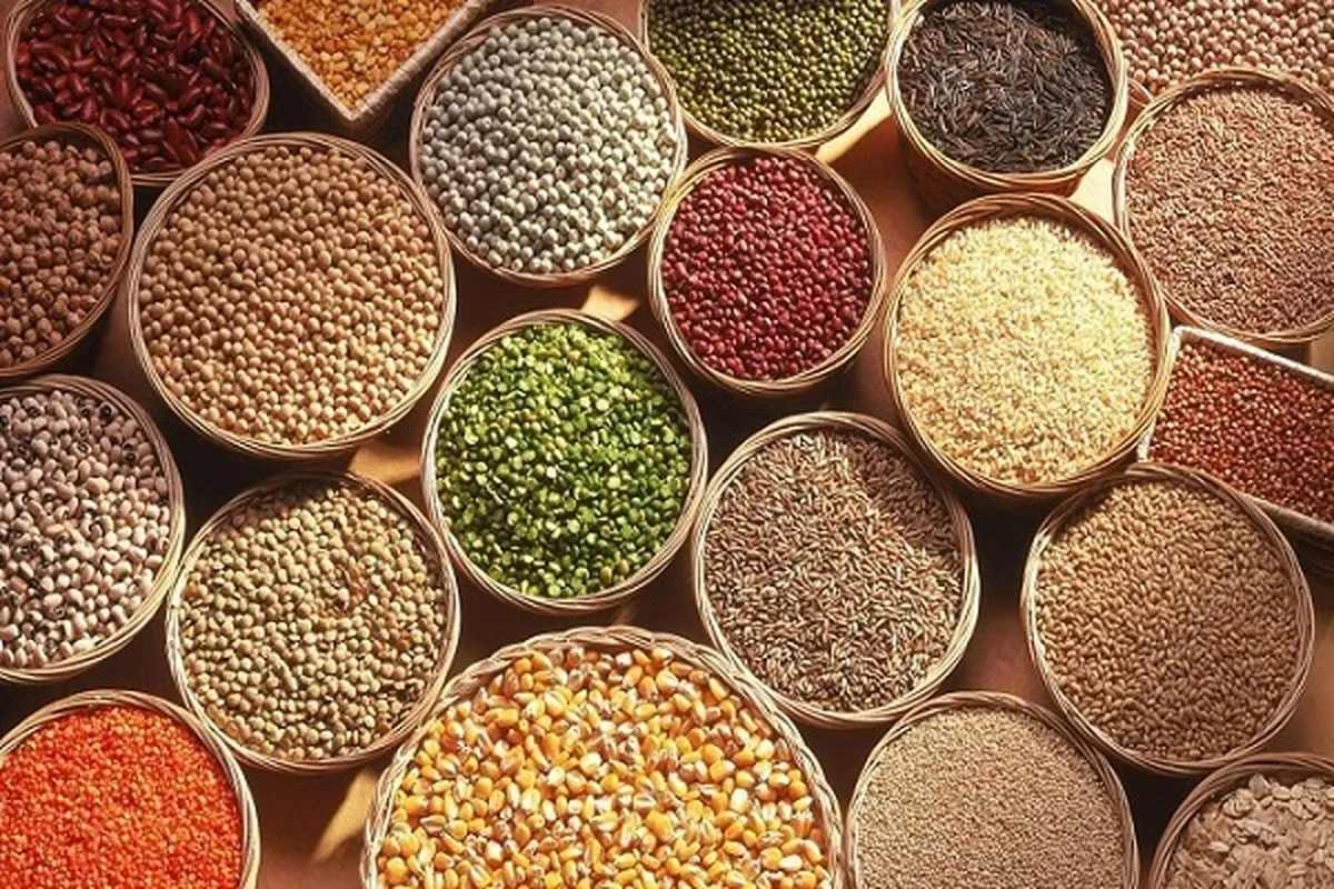 تأمین نیاز کشور به بذر‌های اصلاح‌شده با تولیدات داخلی