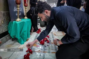 محمدرضا طهرانچی فرزند شهید دکتر محمدمهدی طهرانچی بر مزار پدر شهیدش در حرم مطهر حضرت عبدالعظیم حسنی(ع)
