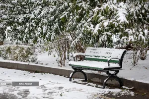 بارش برف زمستانی در تهران 