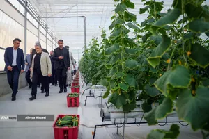 افتتاح سرای نوآوری کشاورزی واحد علوم و تحقیقات با حضور دکتر رنجبر رئیس دانشگاه آزاد اسلامی