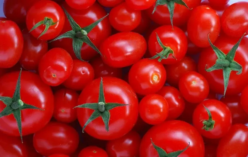 گوجه