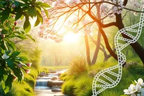 تغییرات فصلی، بعضی ژن‌ها را فعال می‌کند