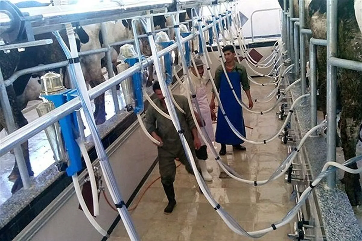 ظرفیت فعالیت مجتمع دامداری و کشاورزی دانشگاه آزاد کرمانشاه به ۱۰۰ درصد می‌رسد