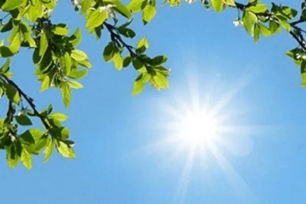 هواشناسی