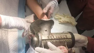گیر کردن دست زن ۴۸ ساله در چرخ‌ گوشت صنعتی در خیابان فلسطین تهران+فیلم