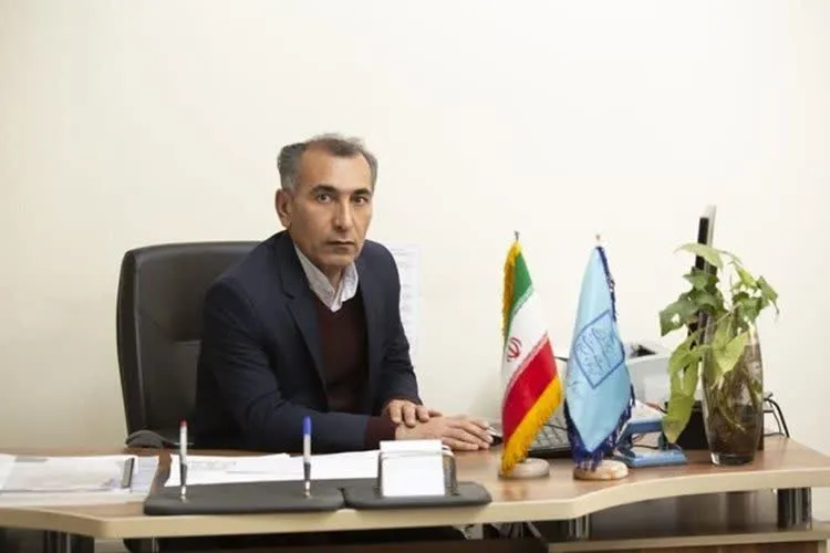 محمودی