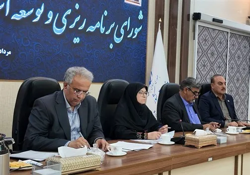 شینا انصاری