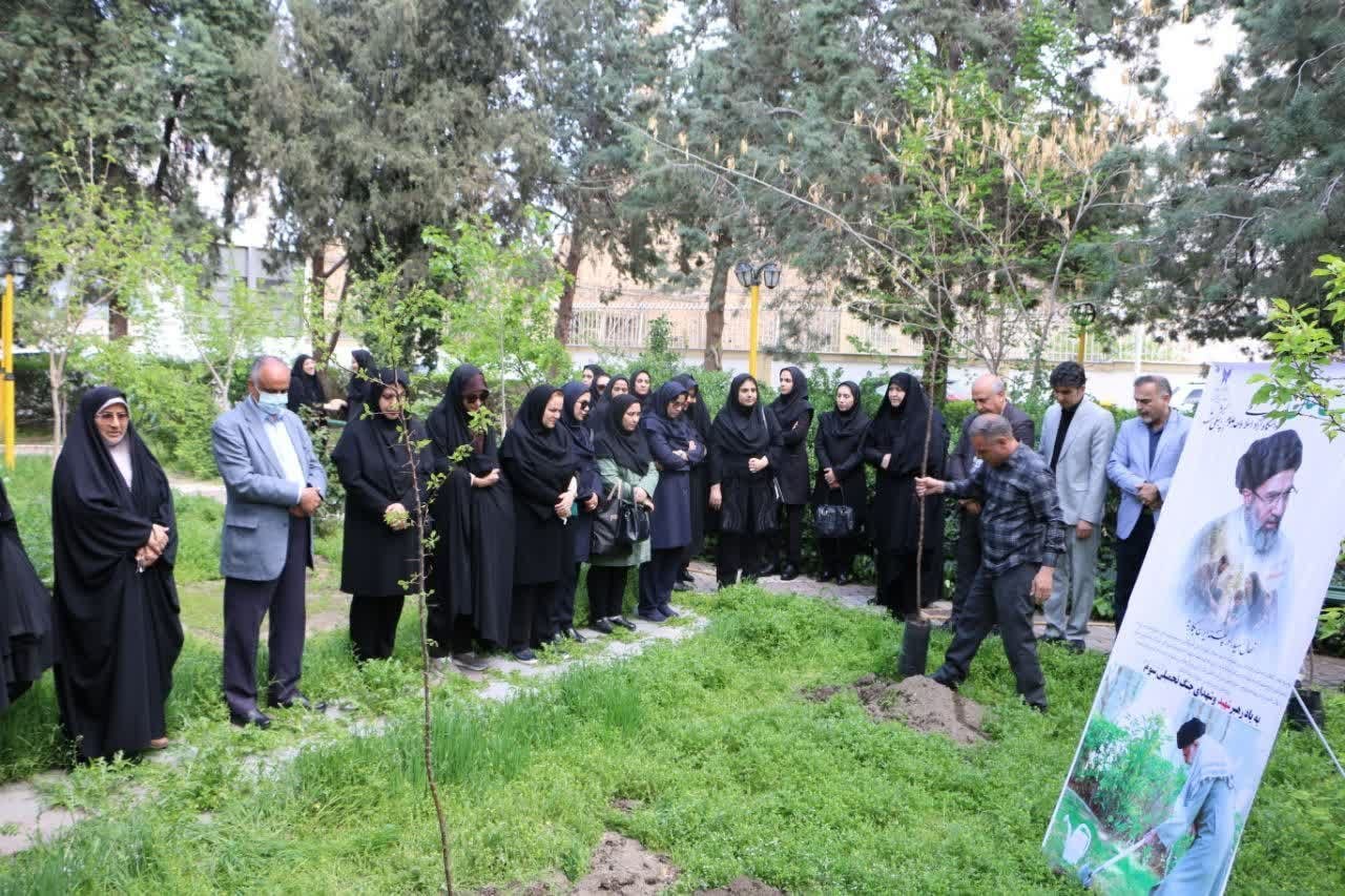 غرس نهال امید به همت معاونت فرهنگی دانشجویی دانشگاه آزاد اسلامی واحد علوم پزشکی مشهد