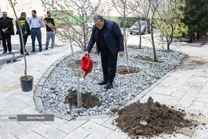 کاشت نهال امید