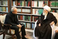 آیت الله نوری همدانی: از رییس جمهور حمایت می‌کنیم/ایجاد اختلاف به ضرر جریان انقلاب است
