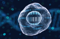 Multimodal &ldquo;barcode&rdquo; enables detection of senescent cells