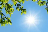 افزایش نسبی دما؛ جوی آرام و پایدار بر بیشتر آسمان کشور