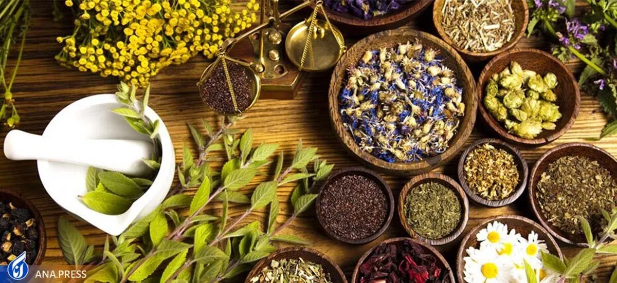 ۱۰ قلم داروی سنتی وارد چرخه درمان کمکی کرونا قرار می‌گیرد