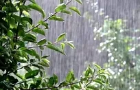 پیش بینی رگبار باران در چندین استان کشور