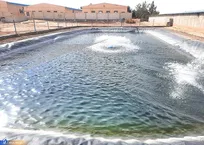 گام‌هایی برای درآمد غیرشهریه‌ای؛ از پرورش قزل‌آلا تا شرکت خدمات آزمایشگاهی