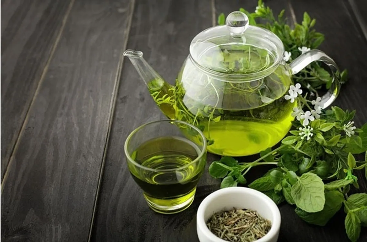 یافته جدید پژوهشگران دانشگاه آزاد؛ با چای سبز لاغر شوید