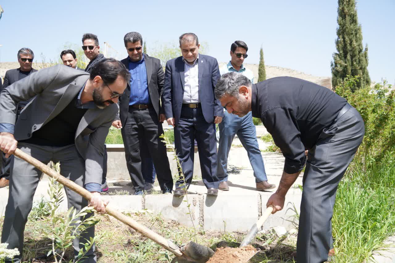 کاشت نهال، تجلی احترام به شهدا و ترویج فرهنگ طبیعت‌دوستی