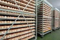 تضمین تأمین پایدار کالا‌های اساسی در کشور/ کالا‌های ذخیره شده برای چندین ماه کافی است