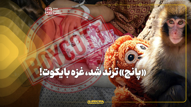 «پانچ» ترند شد، غزه بایکوت!