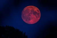 بیش از ۵۰ برنامه عمومی رصد ماه‌گرفتگی در سراسر کشور برگزار می‌شود