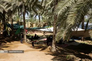 شور اربعین