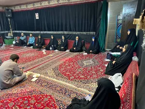 فعالیت خادمیاران و یاوران رضوی منطقه دارالمومنین تهران 