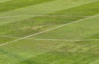 کیفیت ناامیدکننده زمین چمن ورزشگاه شهرقدس/ انتظار ساپینتو برای خوش و بش با تارتار