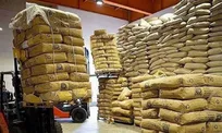 سفارش واردات انبه وچای از فردا آغاز می شود