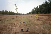 یکصد و دومین جلسه طرح مردمی کاشت یک میلیارد درخت برگزار شد