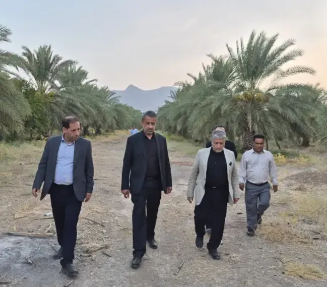 دکتر رنجبر از مزرعه و نخلستان دانشگاه آزاد اسلامی واحد حاجی آباد بازدید کرد