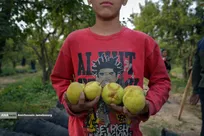 توانمندی اقتصادی برای رفع محرومیت - باغ گلابی