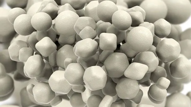 Producing Anti-Fungal, Anti-Bacterial Paper Wipes Using Nanotechnology