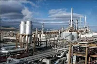 پیش بینی درآمد صنعت پتروشیمی به ۲۳.۶ میلیارد دلار