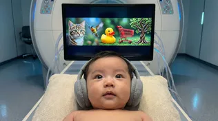 اسکن‌های جدید مغزی از هوش پنهان نوزادان پرده برمی‌دارند