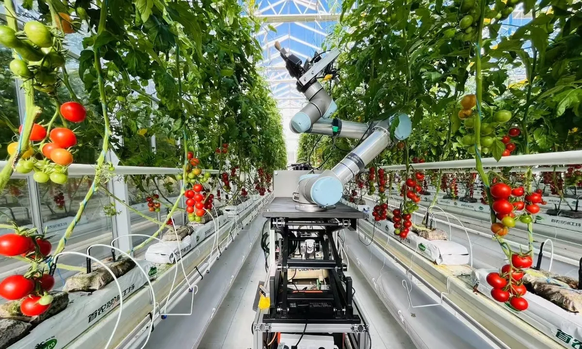 Chinese Scientists Develop World's First Full-Process Intelligent Breeding Robot