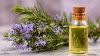 رزماری برای مو + طرز استفاده روغن رزماری برای مو
