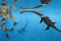 کشف یک «هیولای دریایی» جدید از دوره  ژوراسیک