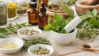 کارگاه تخصصی دارایی‌های فکری در صنعت داروسازی گیاهی برگزار می‌شود