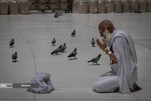 موسم حج1405