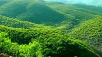 استفاده از ظرفیت مردمی در حفاظت از منابع طبیعی