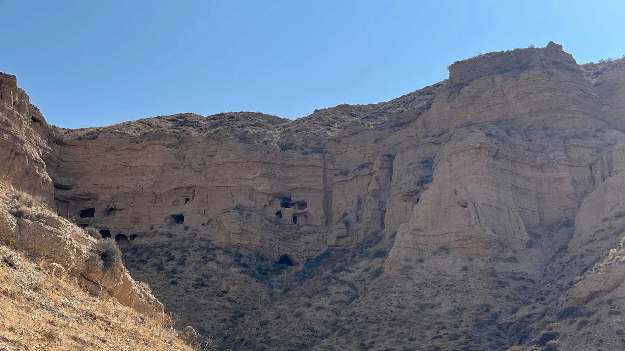 هنامه