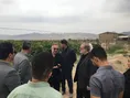 بازدید