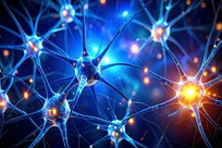 scientists-uncover-a-hidden-language-of-the-brain