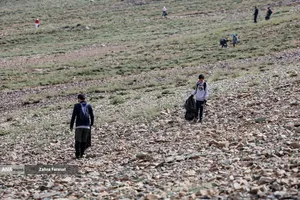 پاکداشت طبیعت توچال