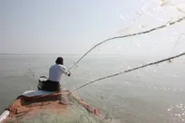 ارزآوری ۷۰۰ میلیون دلاری شیلات/پیشران‌های توسعه و پدافند غیرعامل کشور