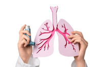 Study identifies new neural pathway for treating lung inflammation