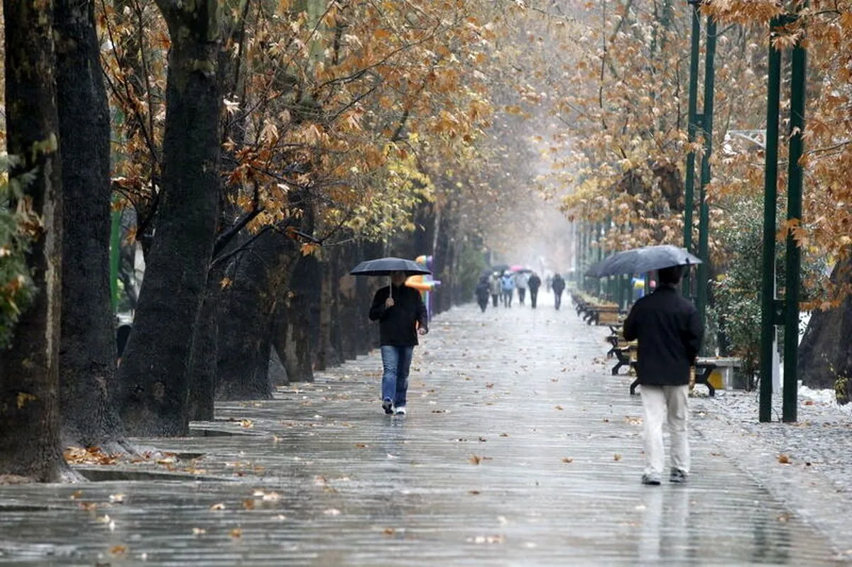 بارش باران