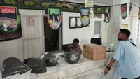 پست چای و برنج شمالی‌ها را ارزان‌تر به دست مصرف کننده خواهد رساند