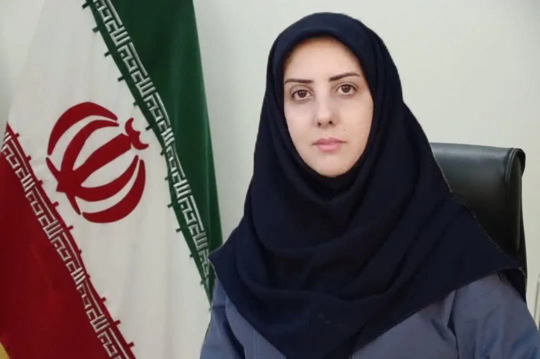 دانشگاه