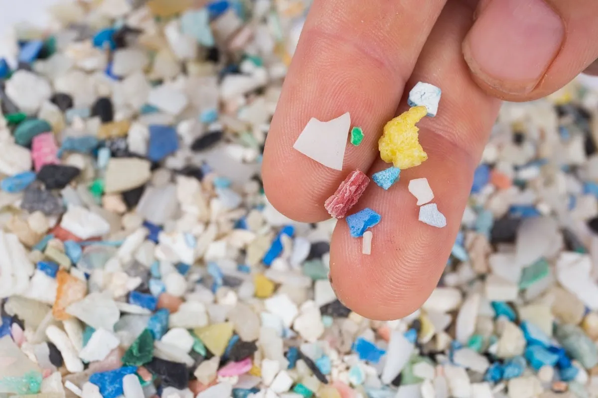 Iranian Scientist Finds Liver as Final Destination of Absorbed Microplastics